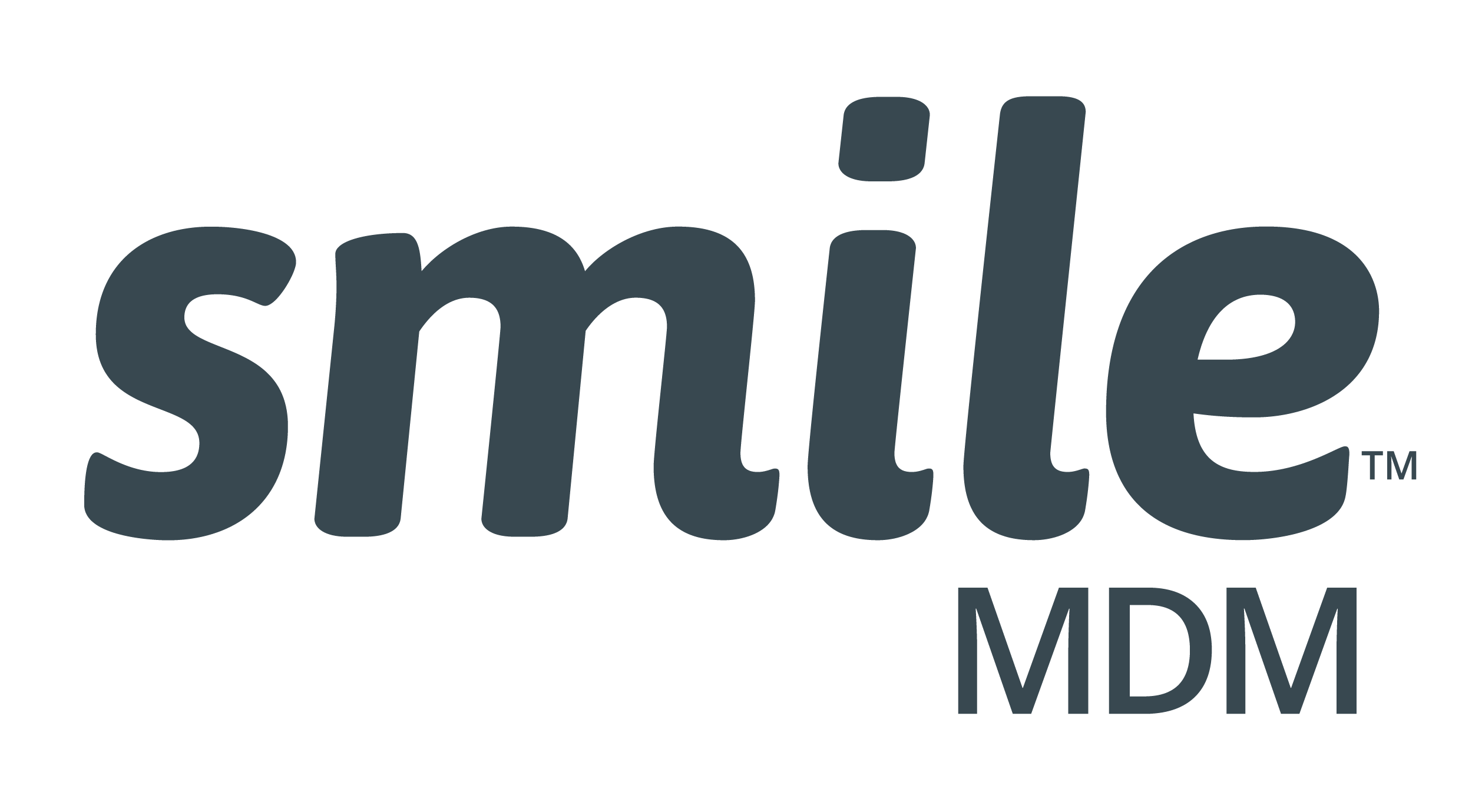 MDM  LOGO  _ Grey